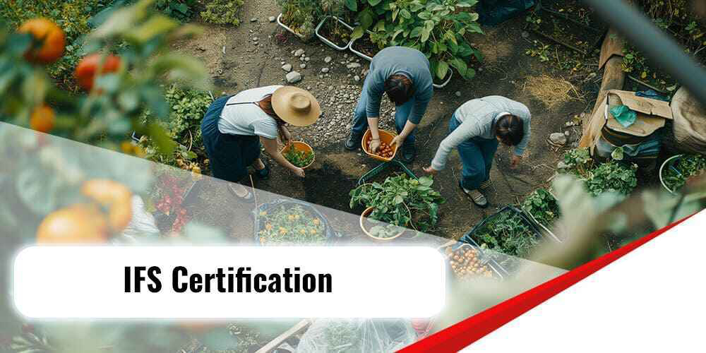 Learn the necessary steps to obtain the IFS certificate. Get information about the application process, required documents, and audit stages for obtaining the IFS certification.






